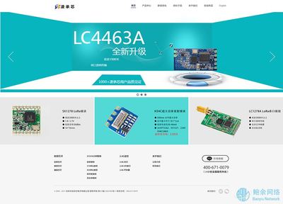 凌承芯-深圳企業(yè)網站建設案例