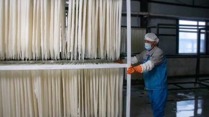 稅務賦能，非遺“活”起來 延邊稅務助力非物質文化遺產傳承與發展